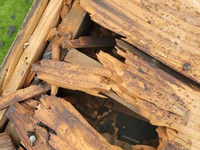 Roof Damage Repair
