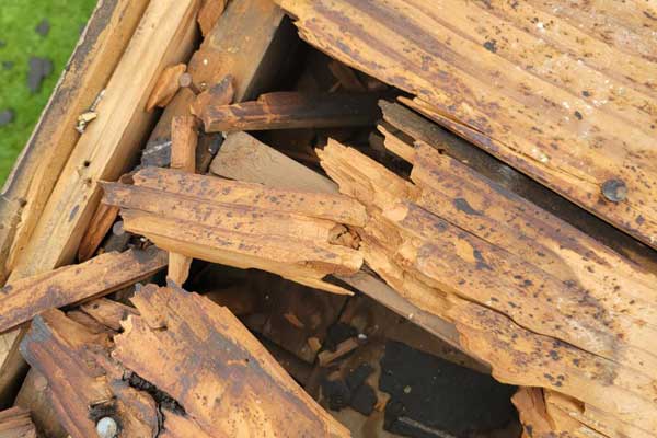 View All Storm Damage Repair Service View All Storm Damage Repair Service